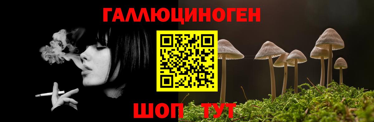 Псилоцибиновые грибы MAGIC MUSHROOMS Североморск