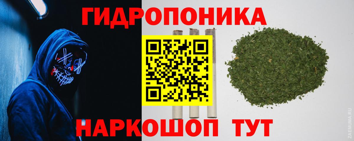 Шишки марихуана конопля Североморск